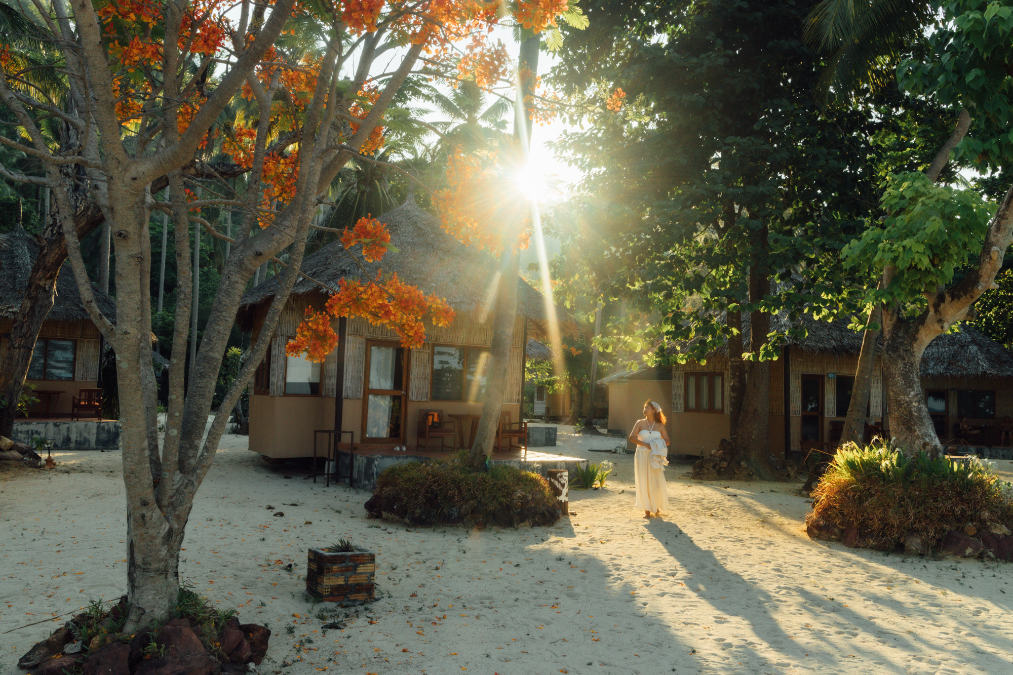 Beachfront Cottage