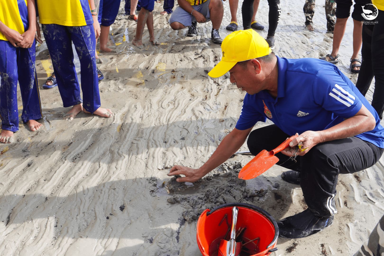 Seagrass Restoration, Mayalay beach resort, Thailand