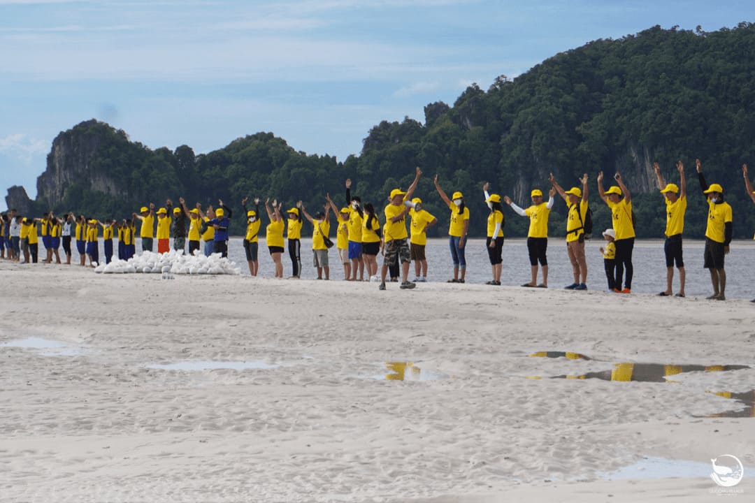 Seagrass Restoration, Mayalay beach resort, Thailand