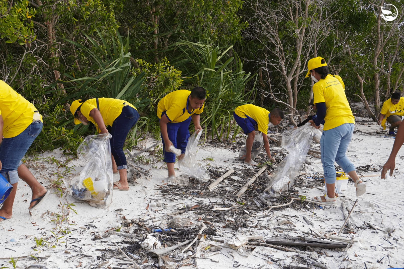 Seagrass Restoration, Mayalay beach resort, Thailand