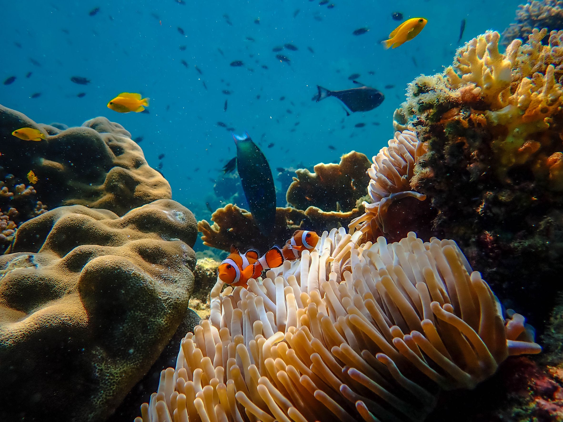 Discover Talay Trang
